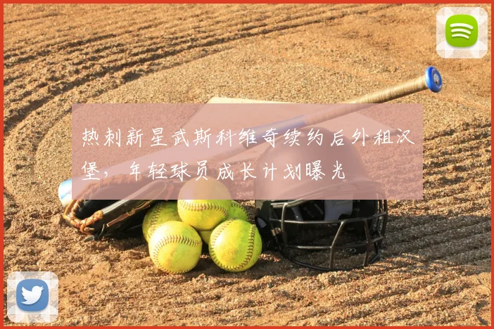 热刺新星武斯科维奇续约后外租汉堡，年轻球员成长计划曝光