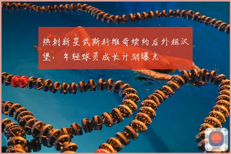 热刺新星武斯科维奇续约后外租汉堡，年轻球员成长计划曝光