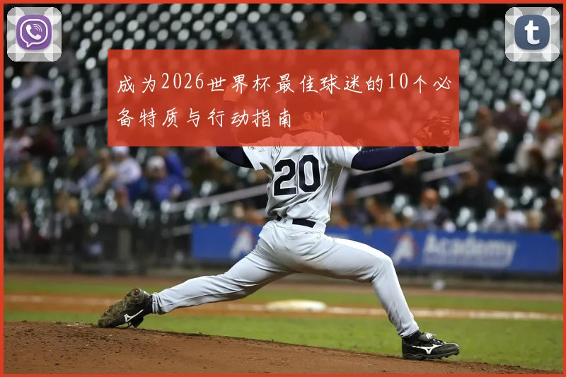 成为2026世界杯最佳球迷的10个必备特质与行动指南